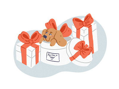 Cute puppy in the gift box