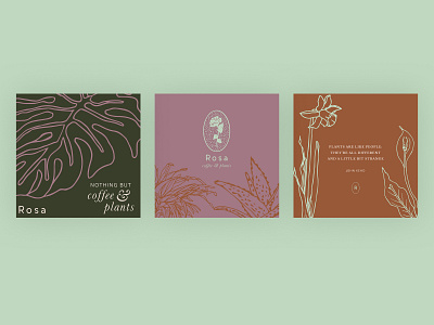 Rosa Coffee & Plants Social Media Illustrations