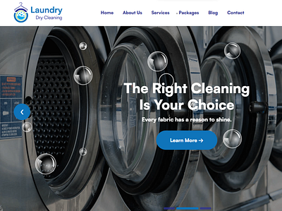 Laundry Service website design graphic design laundry service logo website