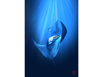 Giant oceanic manta ray drawing illustration manta ray sea underwater