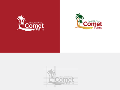 Comet Palm graphic logo branding logo design