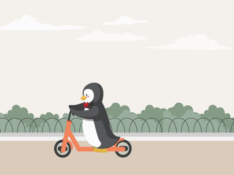 Penguine aftereffect animation graphic design illustratoin illustrator penguine