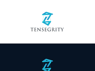 Tensegrity branding design graphic design logo logo design