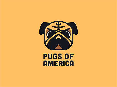 Pug Dog