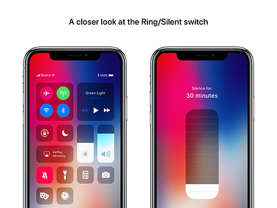 A closer look at the Ring/Silent switch