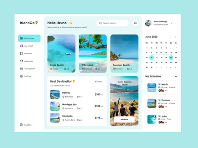 Travel Dashboard dasboard design ui