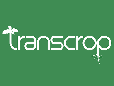 transcrop hemp logo plant transcrop