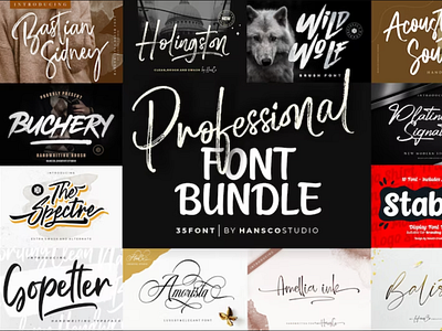 Professional Fonts Bundles | Handwriting Fonts by Hans Co Studio on ...