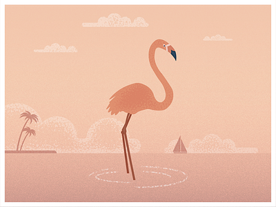 Flamingo creative design flamingo gradient illustration illustrator ui vector