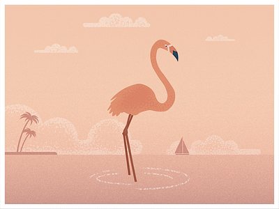 Flamingo