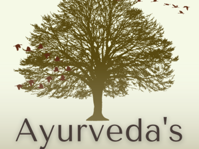 Visionary logo of Ayurveda's design graphic design logo mi minimal