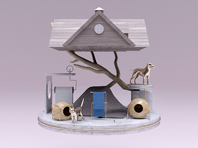 Installation art - Cat & Dog 3d 4d cat cinema dog