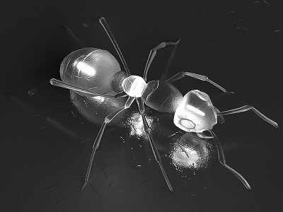 A glassy ant 3d 4d cinema glass render spider