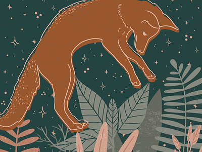 Swoop - Fox Illustration botanical fauna flora fox illustration jump