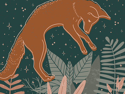 Swoop - Fox Illustration
