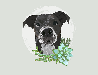 Pet Portait - Ollie digital design dog dog illustration illustration digital pet portrait succulents