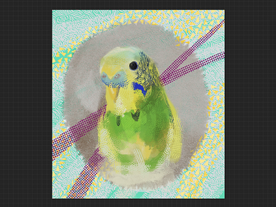 parrot animation digital art illustration