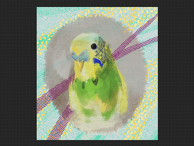 parrot