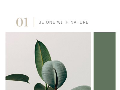 Be one with nature by Onyemauche Williamson on Dribbble