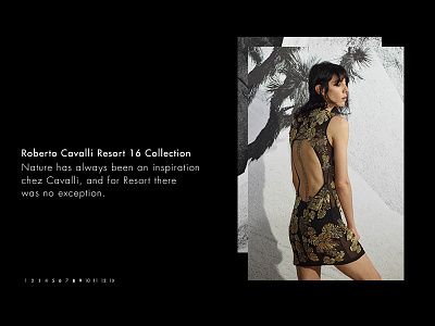 Roberto Cavalli Store - slider ecommerce fashion online boutique online store store web design