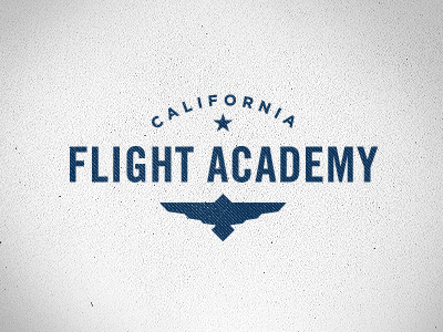California Flight Academy Logo bird blue fly gotham logo star texture trade gothic wings