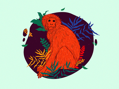 Monkey Art animal art avatar banner design drawing flat vector graphic design illustration jungle layout design minimal art monkey monkey art monkey illustration nature save animal vector wildlife