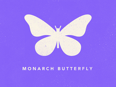 Butterfly Icon