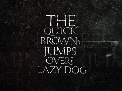Fox & Dog calligraphy hahdlettering lettering typo typography каллиграфия леттеринг
