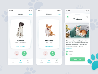 Adopt a pet application adopt adopt pet adoption app dog mobile app pet pet app pets tinder