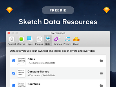 FREEBIE – Sketch – Data Resources