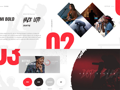 Lit Fam designs, themes, templates and downloadable graphic elements on  Dribbble