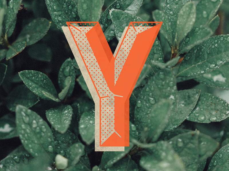 Y E S branding colors cute design flat font graphic design identity illustrator logo type typography