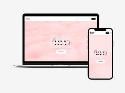 Web Design - Lily & Co ui