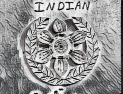 Indian crypto currency logo