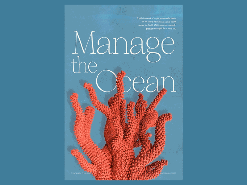 4 Goals - Manage the Ocean 3d animation color design ecology illustration motion ocean poster type typography
