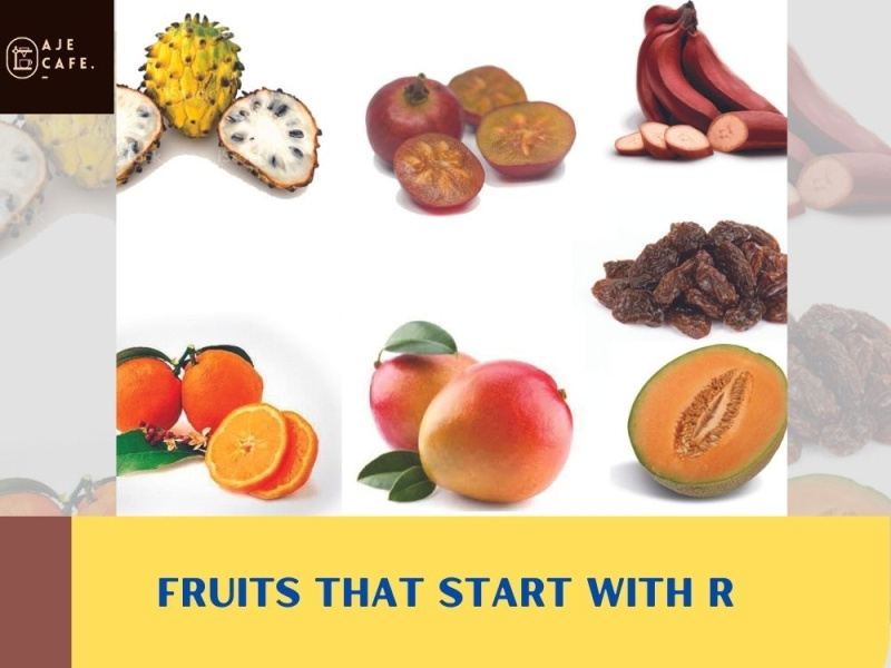 24 Fruits that Start With R by Aje Cafe on Dribbble