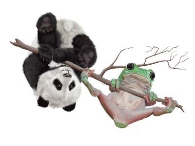 Hanging Out - Panda and Frog amphibian animal artedutech candie witherspoon candiefx cute design digital painting friendship funny graphic design illustration isolated mammal nature panda procreate tree branch tree frog