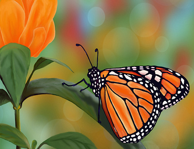 Orange Monarch Butterfly with Background artedutech blurred background butterfly candie witherspoon candiefx candiespoon design drawing graphic design illustration insect macro monarch nature orange painting procreate