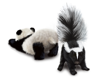Tiny Panda and Skunk Playing artedutech black and white candie witherspoon candiefx candiespoon design drawing funny graphic design illustration isolated mammals nature painting panda playful realism skunk tails transparent background