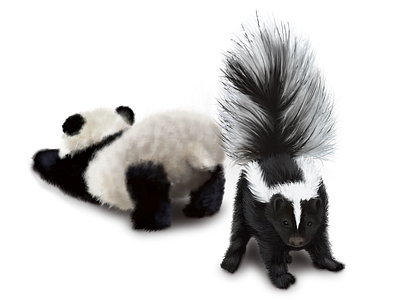 Tiny Panda and Skunk Playing