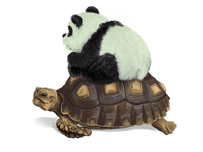 Pouty Panda Riding Tortoise