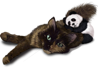 Tortoiseshell Cat and Tiny Panda Cuddle
