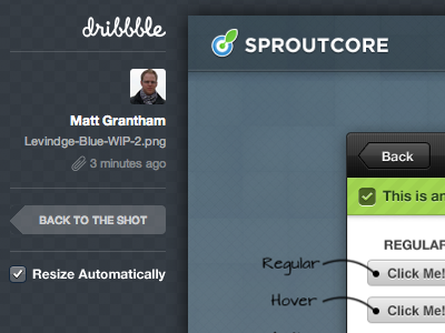 Auto-Resize - We Need It! attachments dribbble feature request