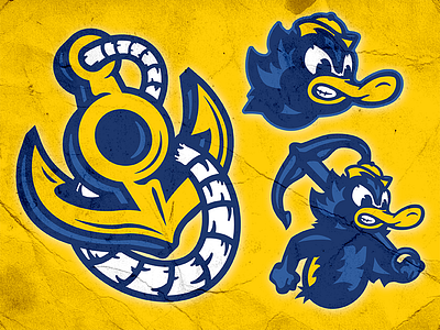 Blue & Gold Concept ahoy anchor concept duck quack