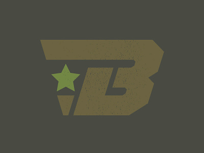 Big Supplement "B" Fitness Logo army branding camo fitness icon logo mark military star supplement texture woodland