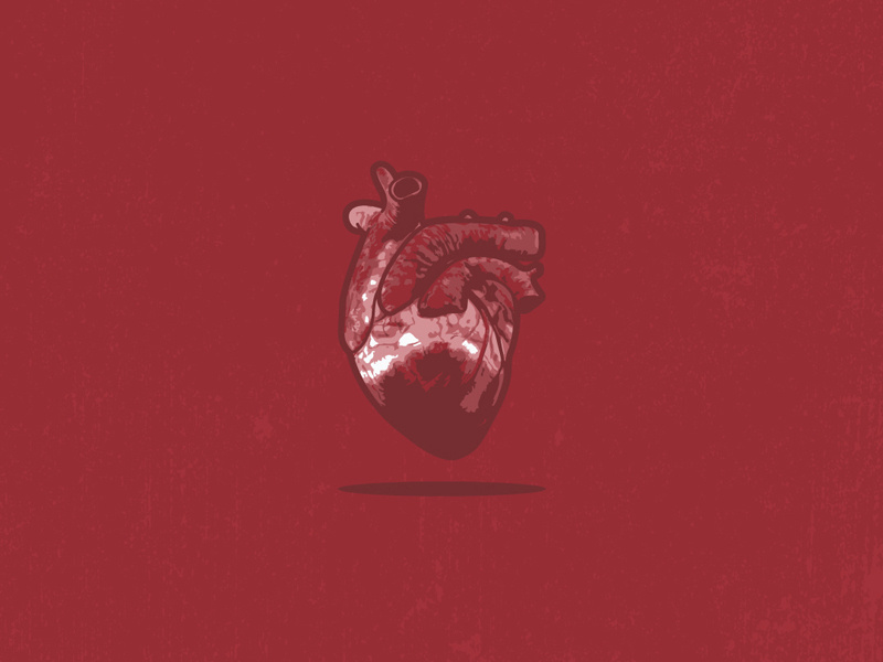 Valentine's Day illustrator illustration holiday midwest red blood flat texture corazon anatomy heart valentines
