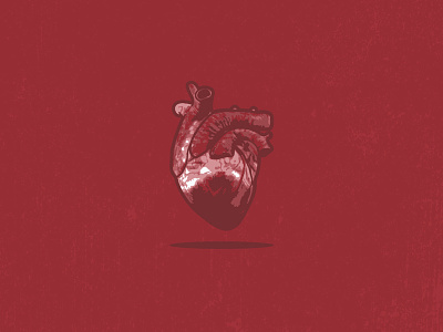 Valentine's Day anatomy blood corazon flat heart holiday illustration illustrator midwest red texture valentines