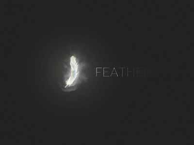 Feather logo black branding characters design feather feather design feather logo illustration illustrator lettering logo logotype minimal type typography