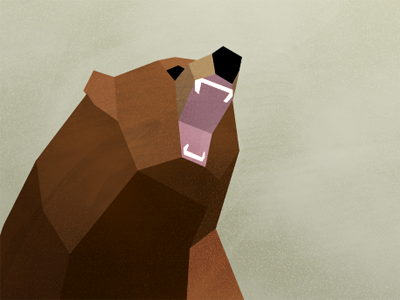 Bear 3d bear illustration polygons