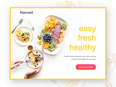 Day 003 - Landing Page